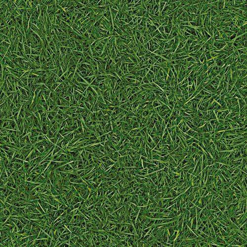 Линолеум бытовой "IVC" Neo Grass 25 (3м) — купить в Уфе