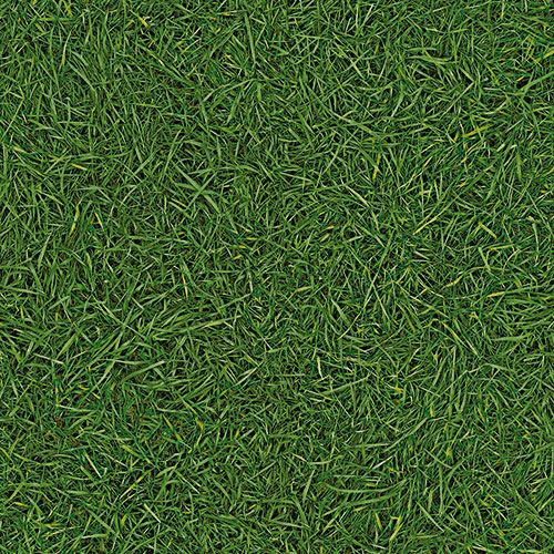 Линолеум бытовой "IVC" Bingo Grass 25 (3м) — купить в Уфе